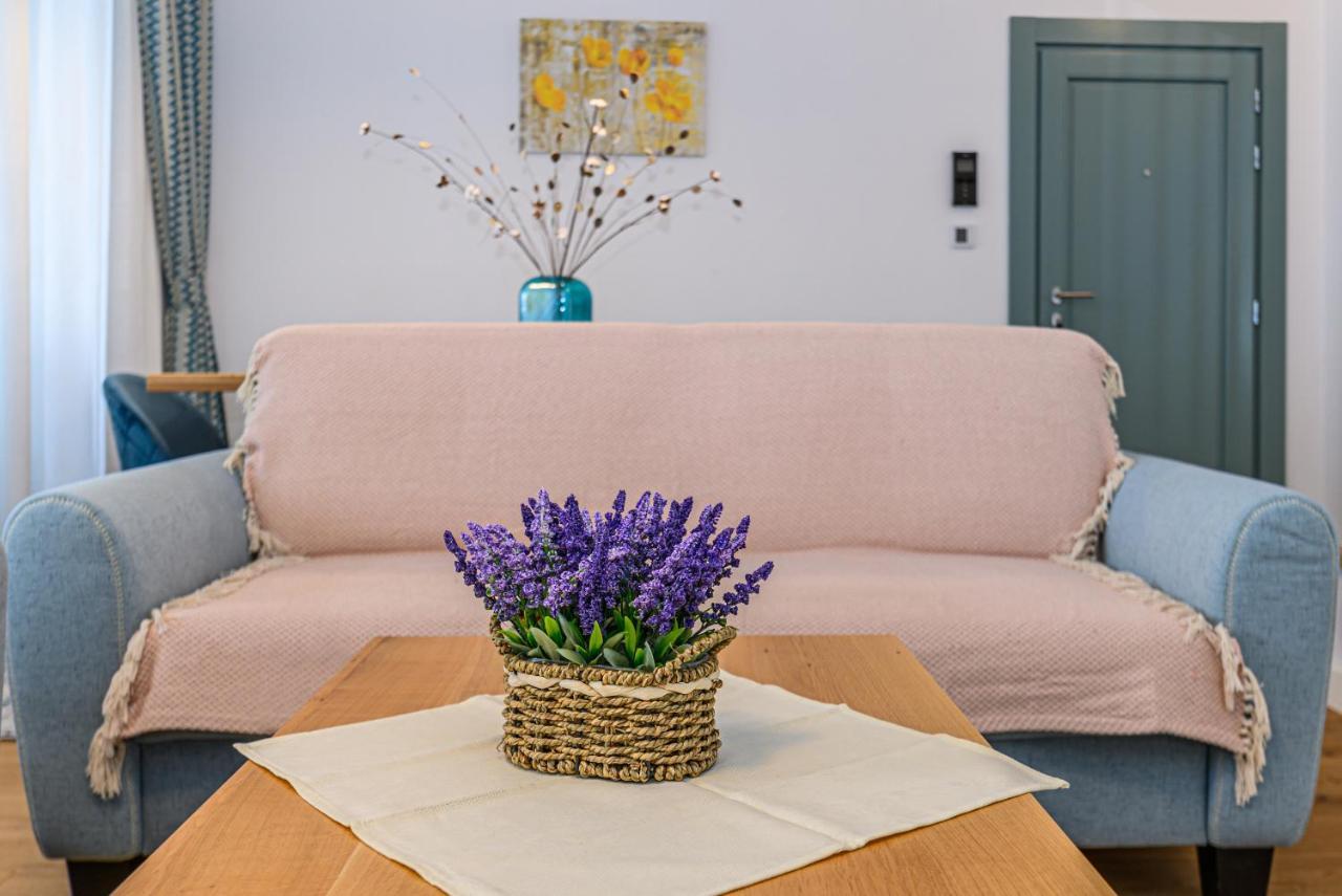 Kronstadt Olarilor Apartment Μπρασόβ Εξωτερικό φωτογραφία